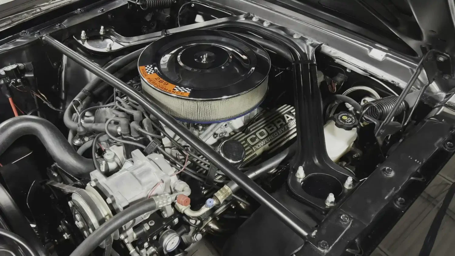 [51674387926] – IMG_0910