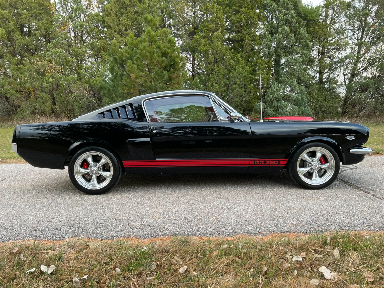 [51675045109] – IMG_0995